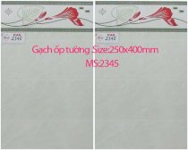 Gạch ốp 250x400 KAG2345