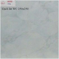 Gạch lát WC 250X250 KAG174