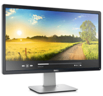 Dell P2414H 23.8 inch LED