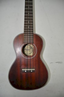 Đàn guitar Nhật  005