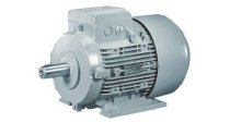 Động cơ điện Siemens 1LA9 113–2KA