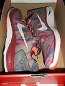 Men's Nike Lunarglide 5 Ext Running Shoe 599469 206