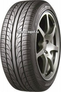 Lốp ôtô Bridgestone TL 205/55R16 091V MY01