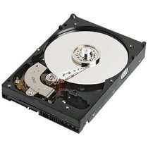 Dell 500GB 7200 RPM Near Line Serial Attached SCSI Hard Drive for Select Dell PowerEdge Servers / PowerVault Storage