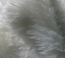 Phông lông thú dài màu trắng