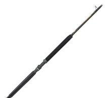 PENN® Bluewater Carnage™ Conventional Rod
