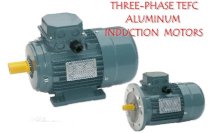 Động cơ điện 3 pha ATT MS-100LB (3KW)