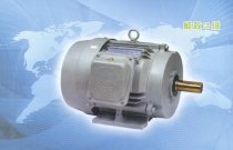 Động cơ điện 3 pha TATUNG K-100L-2