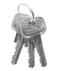 Phôi chìa khóa Hafele 6 bi 64307