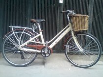 Xe đạp phổ thông Giant Ineed 1500 