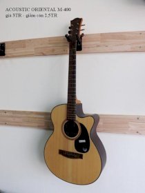 Guitar Acoustic Oriental M-400