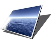 Màn hình laptop Dell 14.1 inch thường