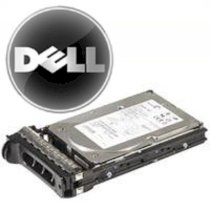 Dell 450GB 15K SAS 3.5" Part : FM501