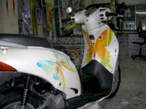 Dán decal xe Honda @ Bướm