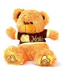 Tokenz Best Hello Teddy Bear - 30 cm