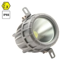 Đèn LED chống cháy nổ Qinsun BLD230-I