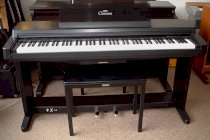 Đàn Piano Kawai PW 810 