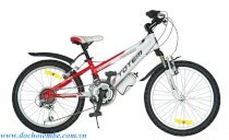 Xe đạp trẻ em TOTEM Nhôm 20-226