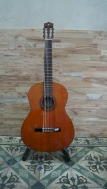 Guitar Yamaha G-50A