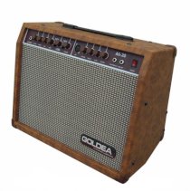 Goldea Acoustic guitar amplifier AG-30