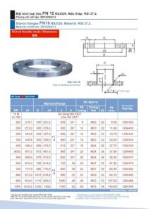 Mặt bích loại đúc PN 10 NS2526