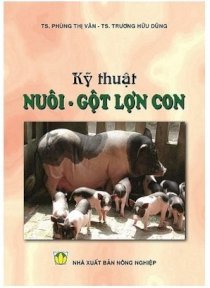  Kỹ thuật nuôi gột lợn con 