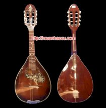 Mandolin M280