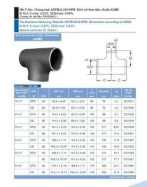 Nối T đúc ASTM-A-234 WPB