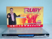 Ruby DVD-450