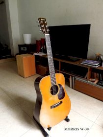 Đàn Guitar Acoustic Morris W30