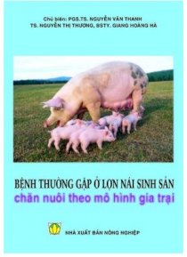 Bệnh thường gặp ở lợn nái sinh sản chăn nuôi theo mô hình gia trại