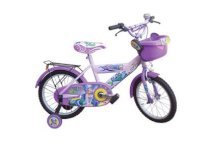 Xe đạp trẻ em Nhựa Chợ Lớn M916-X2B 16inch