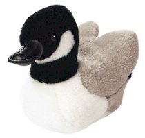 Canada Goose - Audubon Plush Bird (Authentic Bird Sound) 