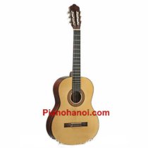 Classical Guitar AGW202