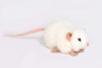 Hansa Mouse Plush Animal Toy, 5", White
