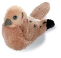 Mourning Dove - Audubon Plush Bird (Authentic Bird Sound)