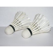 Toogoo(R) LED Light-Up Badminton Birdies (Set of 2) Shuttlecocks Shuttlecock Feather Badmiton