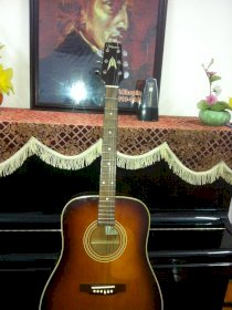 Guitar Takamine T3BS