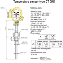 Temperature sensor Aplisens CT GN1