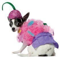 Cupcake Dog Costume by Rasta Imposta