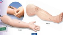 Mô hình điều dưỡng khâu vết thương chân tay 3B Scientific