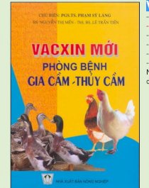  Vắc xin mới phòng bệnh gia cầm - thủy cầm