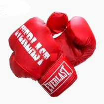 Găng tay Boxing Everlast