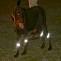 Bright Steps Reflective Dog Leg Bands