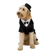 Dapper Tuxedo Dog Halloween Costume