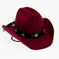 Dog Cowboy Hat - Red