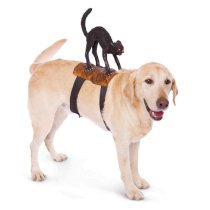 Dog Riders Harness Halloween Costume - Cat