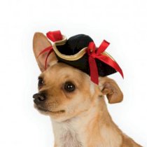 Ladies Halloween Pirate Dog Hat by Rubies
