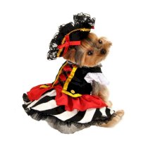 Pirate Girl Halloween Dog Costume
