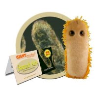 Giant Microbes 5"-7" Plush Stomach Ache Microbe